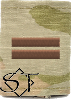 Air Force Academy OCP Cadet First Lieutenant Rank Insignia Jacket Tab, Slide On USAF Spice Brown Air Force Academy OCP Cadet First Lieutenant Rank Insignia Jacket Tab, Slide On USAF Spice Brown