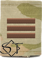 Air Force Academy OCP Cadet Captain Rank Insignia Jacket Tab, Slide On USAF Spice Brown Air Force Academy OCP Cadet Captain Rank Insignia Jacket Tab, Slide On USAF Spice Brown