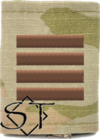 Air Force Academy OCP Cadet Major Rank Insignia Jacket Tab, Slide On USAF Spice Brown Air Force Academy OCP Cadet Major Rank Insignia Jacket Tab, Slide On USAF Spice Brown