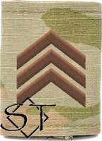 Air Force Academy OCP Cadet Master Sergeant Rank Insignia Jacket Tab, Slide On USAF Spice Brown Air Force Academy OCP Cadet Master Sergeant Rank Insignia Jacket Tab, Slide On USAF Spice Brown