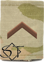 Air Force Academy OCP Cadet Staff Sergeant Rank Insignia Jacket Tab, Slide On USAF Spice Brown Air Force Academy OCP Cadet Staff Sergeant Rank Insignia Jacket Tab, Slide On USAF Spice Brown