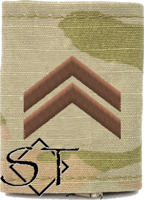 Air Force Academy OCP Cadet Technical Sergeant Rank Insignia Jacket Tab, Slide On USAF Spice Brown Air Force Academy OCP Cadet Technical Sergeant Rank Insignia Jacket Tab, Slide On USAF Spice Brown