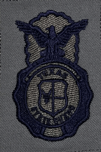 Texas State Guard Security Forces Uniform Badge - Click Image to Close