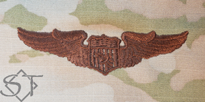 Air Force Pilot Wings Basic Spice Brown-Astronaut - Click Image to Close