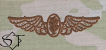 OCP Navy Aviation Physiologist Embroidered Badge-Spice Brown - Click Image to Close