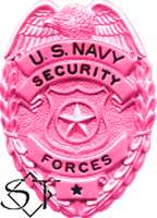 US Navy Security Forces Badge-Metal Pink Breast Cancer Awareness - Click Image to Close