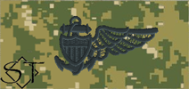 NWUIII AOR2 Navy Balloon Pilot Embroidered Badge-Woodland