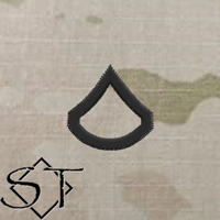 Army Rank Insignia-E3 PFC Private First Class Sew-On Pair Army Rank Insignia-E3 PFC Private First Class Sew-On Pair
