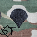 Army Rank Insignia-E4 SPC Specialist Sew-On Pair - Click Image to Close