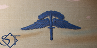 Freefall Badge OCP-USSF