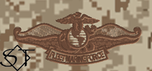 NWUII AOR1 Navy Fleet Marine Force Chaplain Embroidered Badge-Desert - Click Image to Close