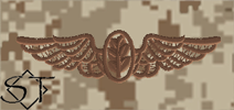 NWUII AOR1 Navy Flight Nurse Embroidered Badge-Desert - Click Image to Close