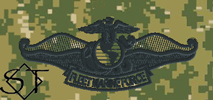 NWUIII AOR2 Navy Fleet Marine Force Chaplain Embroidered Badge-Woodland - Click Image to Close