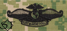 NWUIII AOR2 Navy Fleet Marine Force Embroidered Badge-Woodland - Click Image to Close