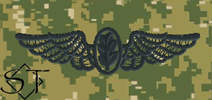 NWUIII AOR2 Navy Flight Nurse Embroidered Badge-Woodland - Click Image to Close