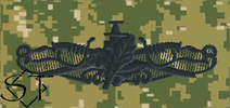 NWUIII AOR2 Navy Surface Warfare Officer Supply Embroidered Badge-Woodland