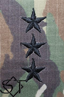 Army Rank Insignia-O9 LTG Lieutenant General Sew-On Pair