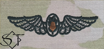OCP Navy Flight Surgeon Embroidered Badge-Black - Click Image to Close