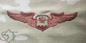 USAF Navigator/CSO/Observer Wings Spice Brown-Basic - Click Image to Close
