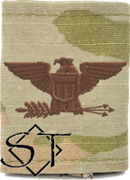 Air Force OCP O6 Col Rank Insignia Gore-tex Air Force OCP O6 Col Rank Insignia Gore-tex