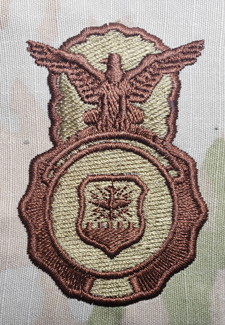 USAF Security Forces Uniform Badge - Click Image to Close