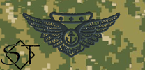 NWUIII AOR2 USMC Combat Aircrew Insignia Embroidered-Woodland - Click Image to Close