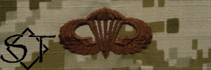NWUII AOR1 Navy Basic Parachutist Embroidered Badge-Desert - Click Image to Close