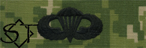 NWUIII AOR2 Navy Basic Parachutist Embroidered Badge-Woodland - Click Image to Close