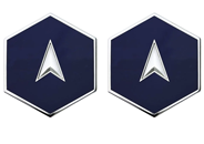 Space Force E1 Specialist 1 Rank Insignia Metal - Click Image to Close