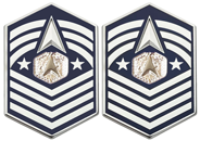 Space Force E9 Chief Master Sergeant of the Space Force Rank Insignia Metal