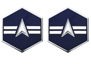 Space Force E3 Specialist 3 Rank Insignia Metal