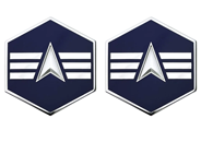 Space Force E4 Specialist 4 Rank Insignia Metal - Click Image to Close