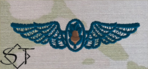 OCP Navy Flight Surgeon Embroidered Badge-Space Blue