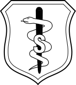 Air Force Biomedical Science Corps Master Spice Brown