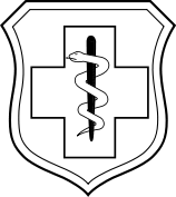 Air Force Enlisted Medical Master Spice Brown