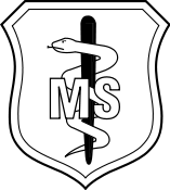 Air Force Medical Corps Senior Spice Brown