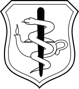 Air Force Nurse Corps Master Spice Brown