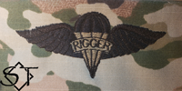 Parachute Rigger badge OCP-Army - Click Image to Close