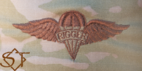 Parachute Rigger badge OCP-USAF - Click Image to Close