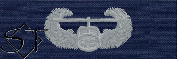 (image for) Air Assault Badge-ODU Coast Guard Silver