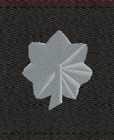 Navy Rank Insignia Black Parka CDR O-5