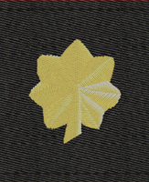 Navy Rank Insignia Black Parka LCDR O-4