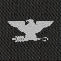 (image for) Army Rank Insignia-O6 COL Colonel Black Velcro
