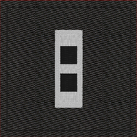 (image for) Army Rank Insignia-CW2 Chief Warrant Officer Black Velcro