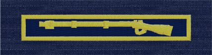 (image for) Expert Infantryman Badge-USCG ODU Gold