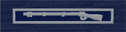 (image for) Expert Infantryman Badge-USCG ODU Silver