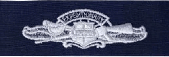 (image for) Navy Expeditionary Warfare Embroidered Badge-ODU Silver