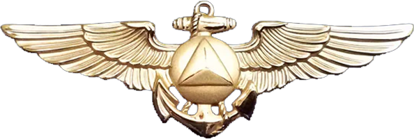 NOAA Aviator Insignia metal pin-Large
