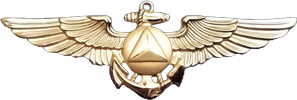 NOAA Aviator Insignia metal pin-Small