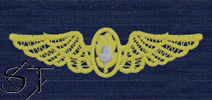USCG ODU Navy Flight Surgeon Embroidered Badge